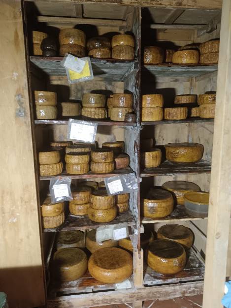 Armadio Stagionatura Stagionatura Pecorino